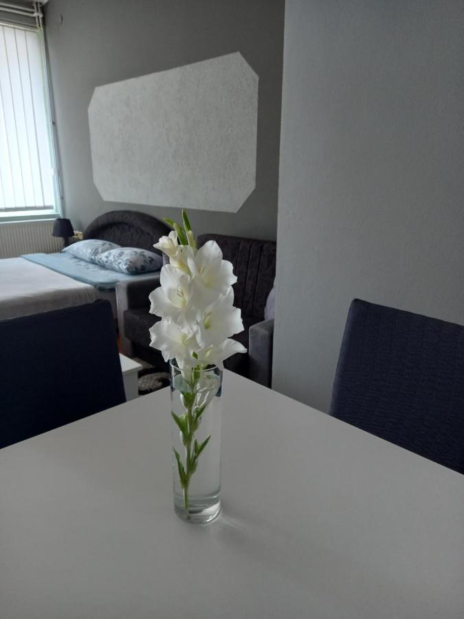 Apartmani Lazaro Visegrad Exterior photo